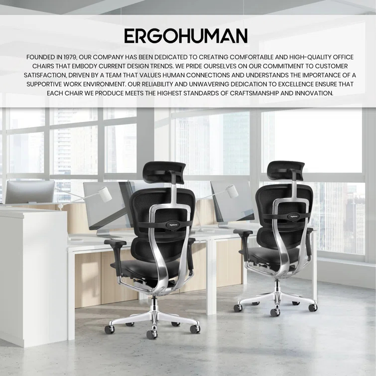 Eurotech Seating Ergohuman Executive Chair with Headrest