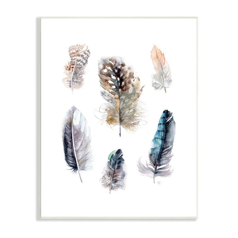 Stupell Industries " Arrangement Of Feathers Soft Watercolor Bird Patterns " by Verbrugge Watercolor