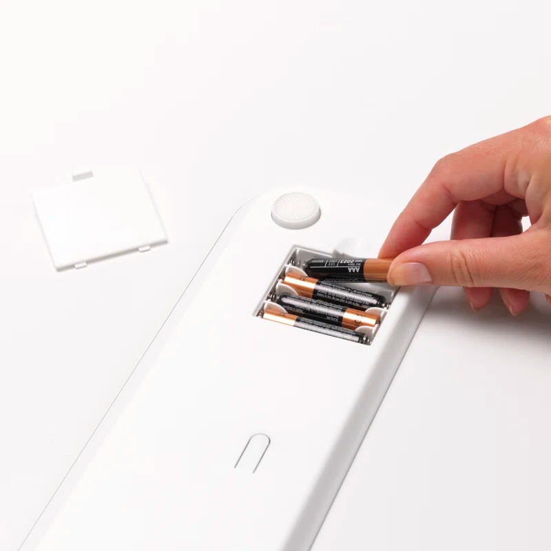 Brabantia ReNew Digital Bathroom Scale & Reviews | Wayfair