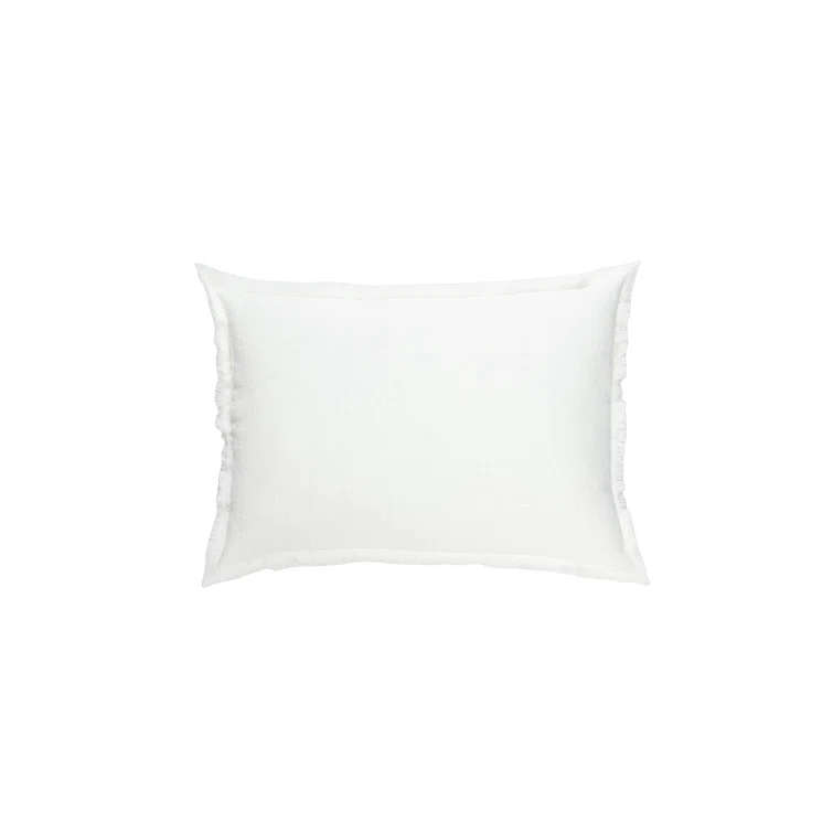 Anaya Fringed Throw Pillow