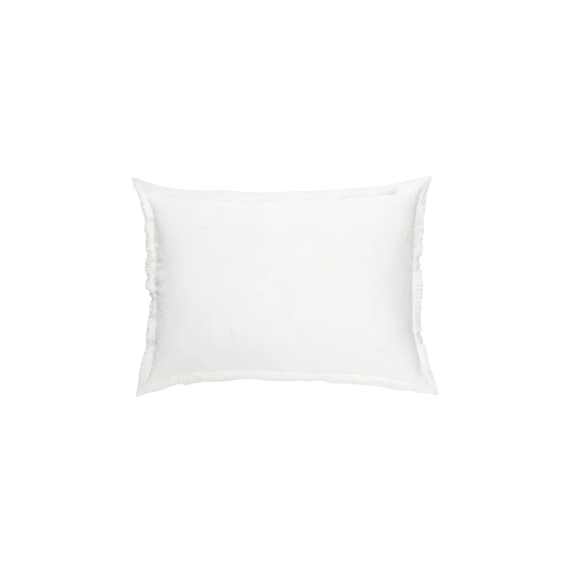 Anaya Fringed Throw Pillow