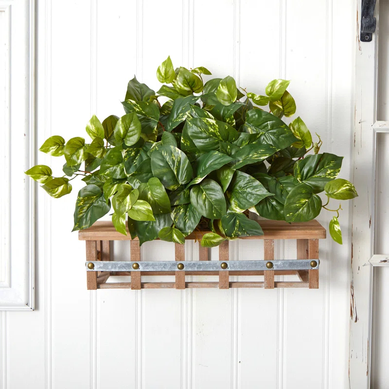 Primrue Pothos Ledge Plant (Set on Foam) Silk Plant