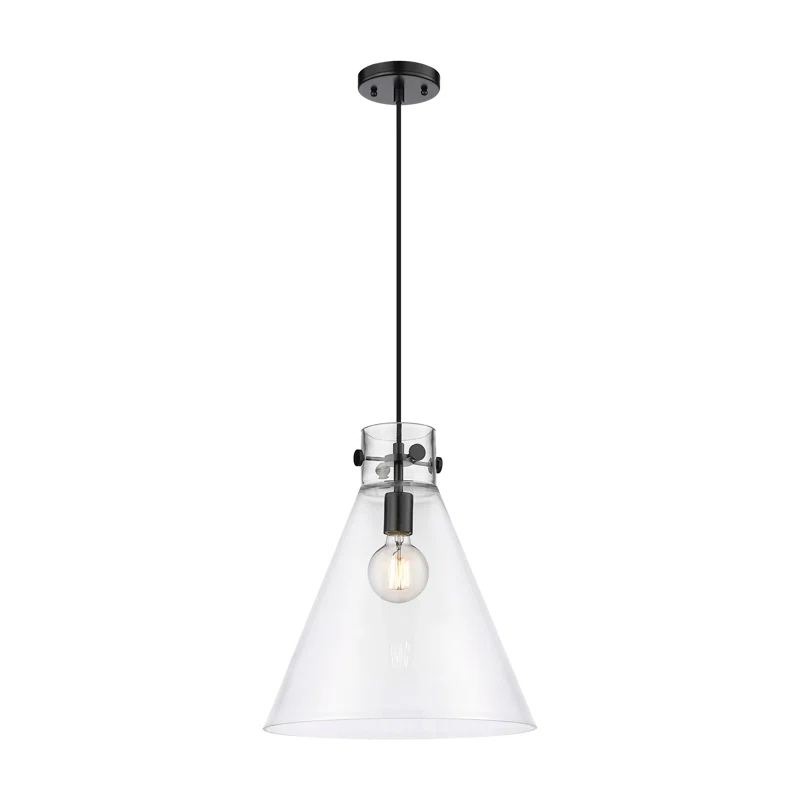 Innovations Lighting Newton 1 - Light Single Drop Pendant Pendant