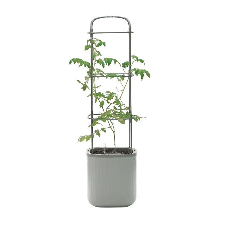 Vego Garden Mini Tomato Plastic Outdoor Pot Planter with Trellis