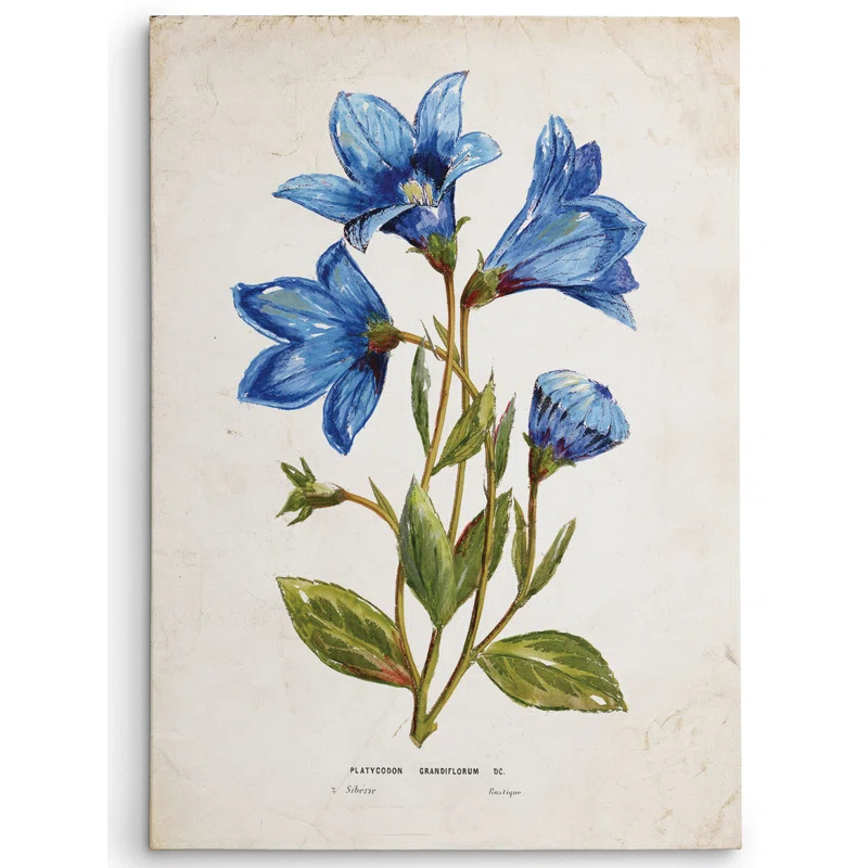 Wexford Home Farmhouse / Country