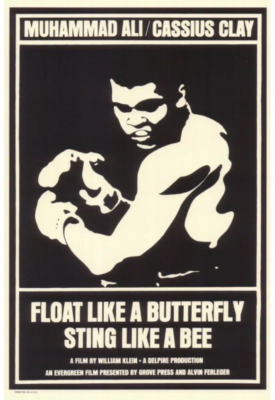 Posterazzi " Float Like A Butterfly Sting Like A Bee Movie Poster "
