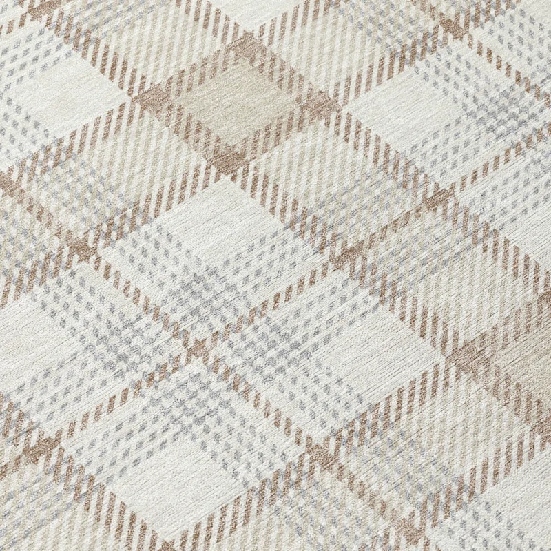 Machine Washable Indoor/Outdoor Chayden ACN1052 Rug