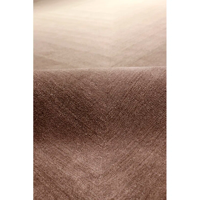 Pasargad Rodeo Hand Tufted Viscose Ombre Rug