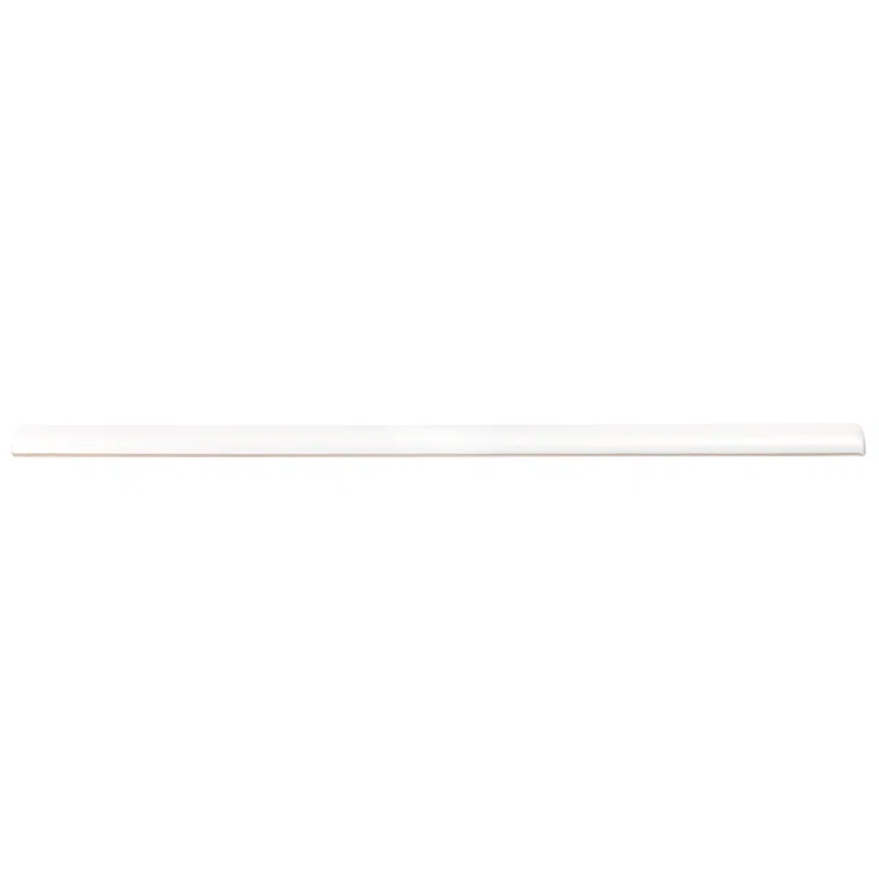 Bond Tile 0.6'' L x 12'' W Ceramic Bullnose Tile Trim