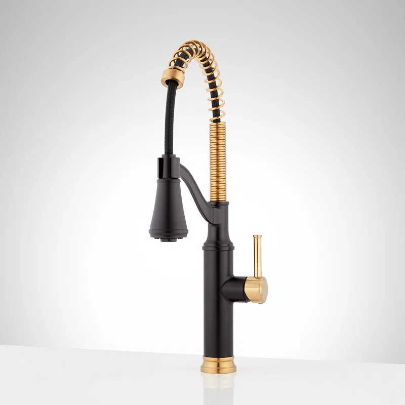 Signature Hardware SHXCCB107MBBG Pull Down Single Handle Kitchen Faucet with Accessories