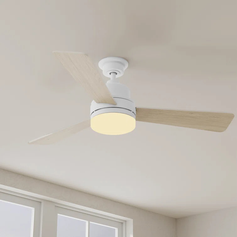 Hokku Designs Bailey-Rae 52'' Ceiling Fan with LED Lights