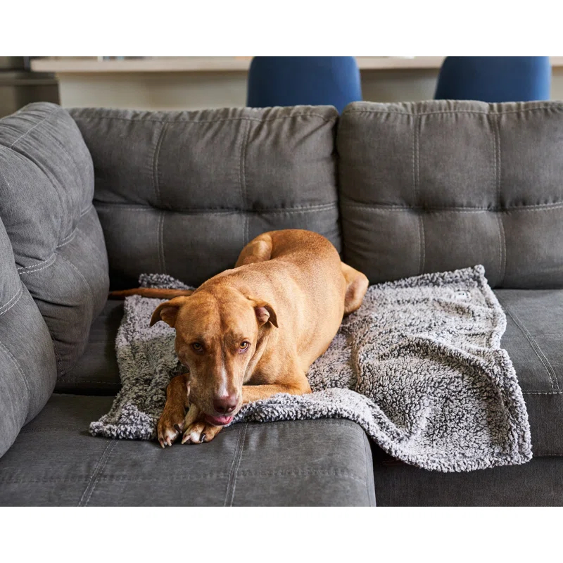 Pet Parents® Pet Blanket, Premium Dog & Cat Blanket