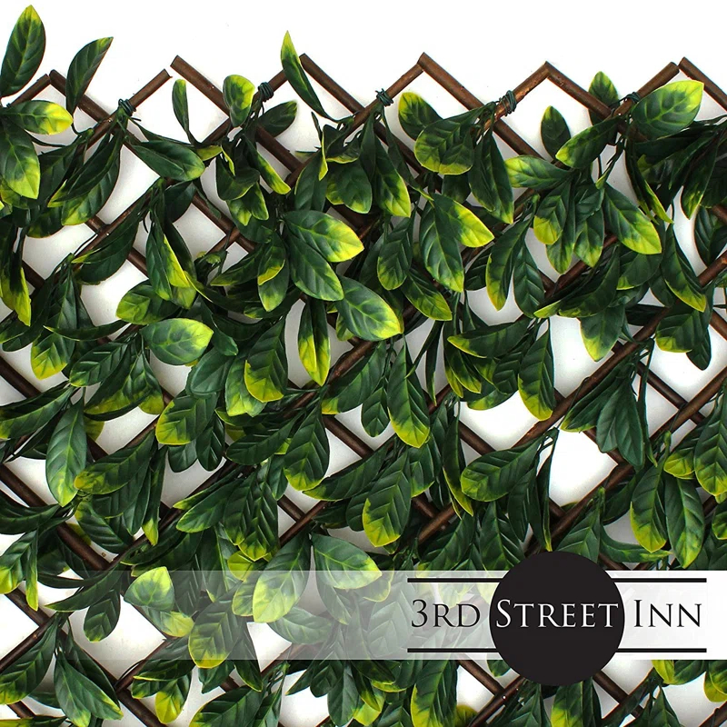 3rd Street Inn 1.6 ft. H x 9 ft. W Bamboo Privacy Screen (Set of 4)