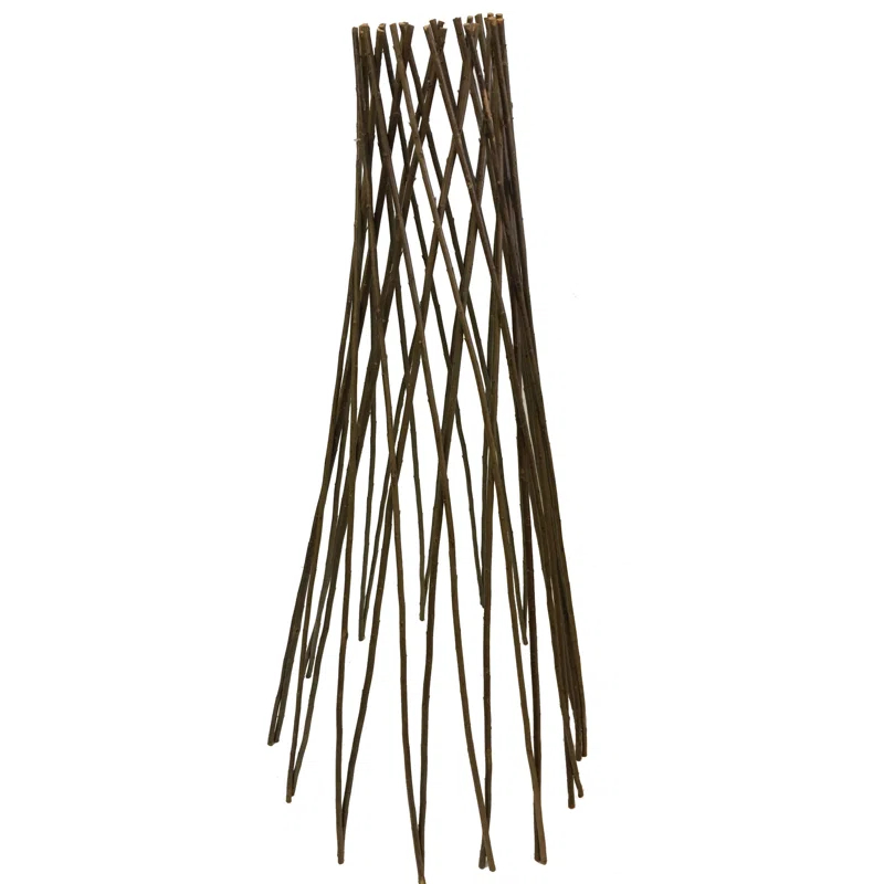 MGP 72'' H x 20'' W Wood Obelisk Trellis