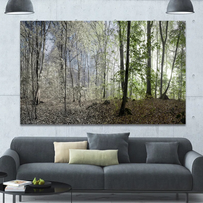 " Green Morning In Forest Panorama "