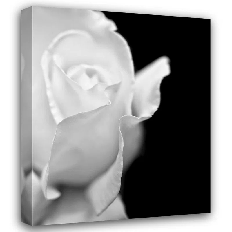 Mercer41 Schell, Jennie Marie Gallery Wrapped Canvas Art Titled Rose Flower Macro Black and White 2