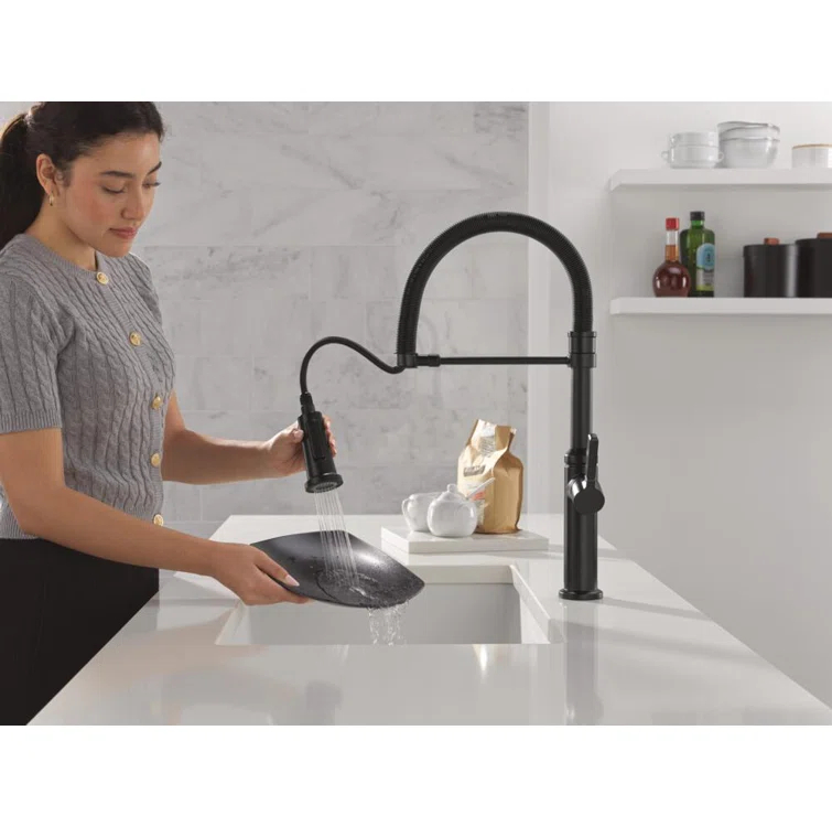 Delta Rhett Pro Commercial Kitchen Faucet, Pull Down Sprayer Kitchen Sink Faucet 18829-BL-DST