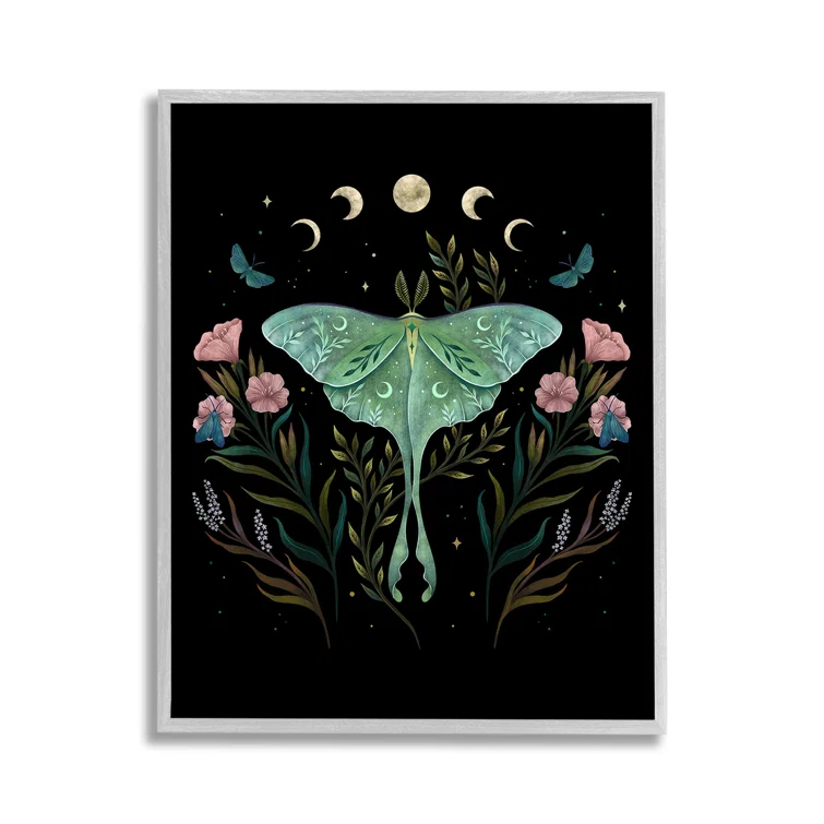 Stupell Industries Luna Moth with Florals Framed Giclee Art by Episodic Drawings