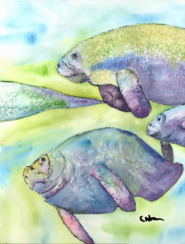 Caroline's Treasures Manatee Double Sided 40'' H x 28'' W Polyester Animal House Flag