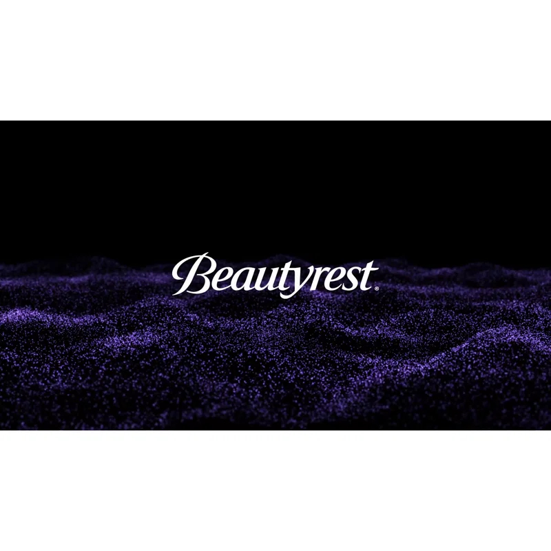 Beautyrest Beautyrest Zuri Oversized Heated Faux Fur Throw