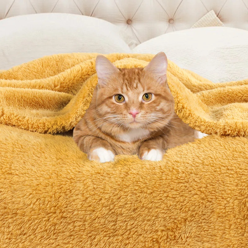 Superior Solid Polyester Reversible All-Season Fleece Throws Blanket
