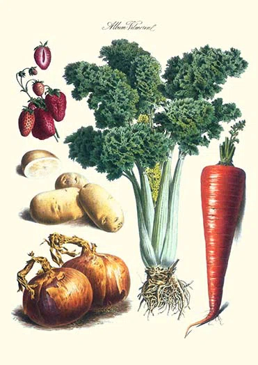 Buyenlarge " Vegetables " by Philippe-Victoire Levêque De Vilmorin