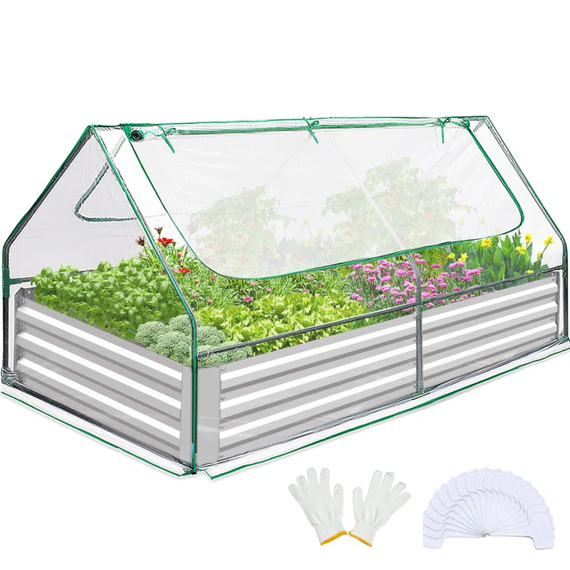 UNIVERSAL WINDOW SOLUTIONS Walk-In Tunnel Greenhouse, Garden Green House With Roll-Up Door And Windows, PE Cover, Plant Growing House For Patio Backyard Garden