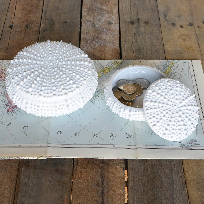 Highland Dunes Overbeck Ceramic Sea Urchin Box +