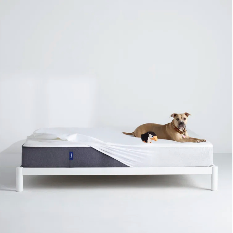 Casper Bedding Waterproof Mattress Protector