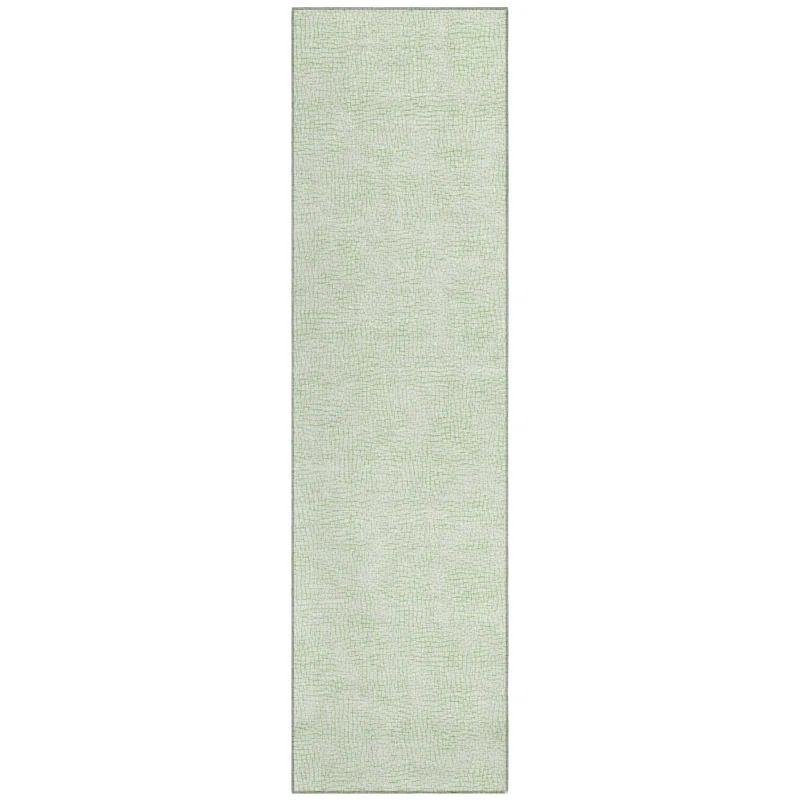 Machine Washable Indoor/Outdoor Chayden ACN1058 Mint Rug