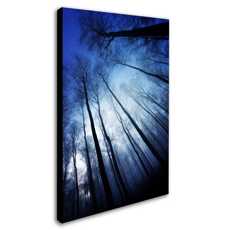 Trademark Fine Art Modern & Contemporary