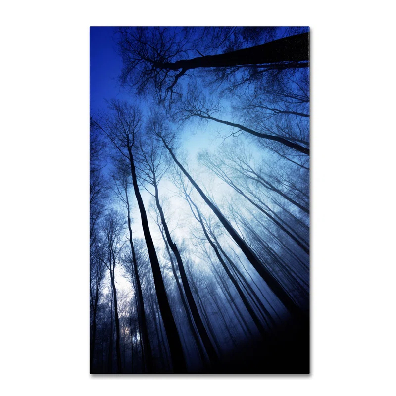 Trademark Fine Art Modern & Contemporary
