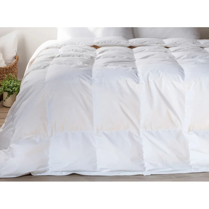 All Season Feather & Down Duvet Comforter Insert