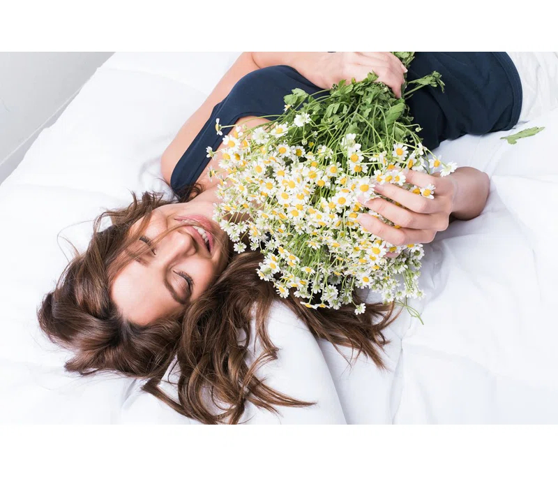 Hospitology The Original Sleep Defense System Zippered Waterproof Bedbug Proof Dust Mite Proof Mattress Encasement