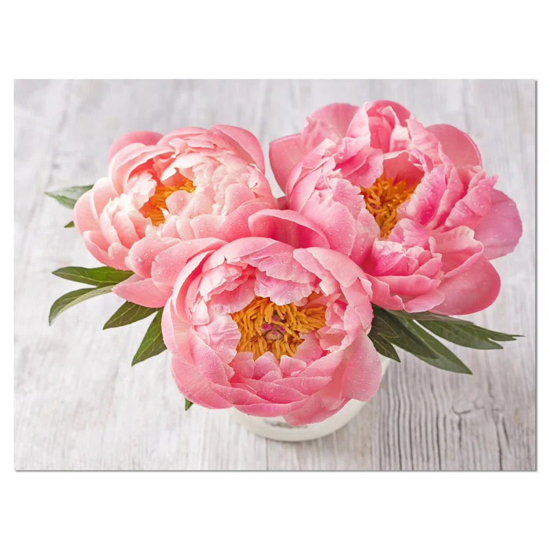 " Peony Flowers On White Floor "