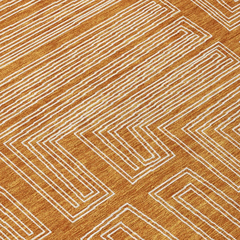 Machine Washable Indoor/Outdoor Chayden ACN1045 Paprika Rug