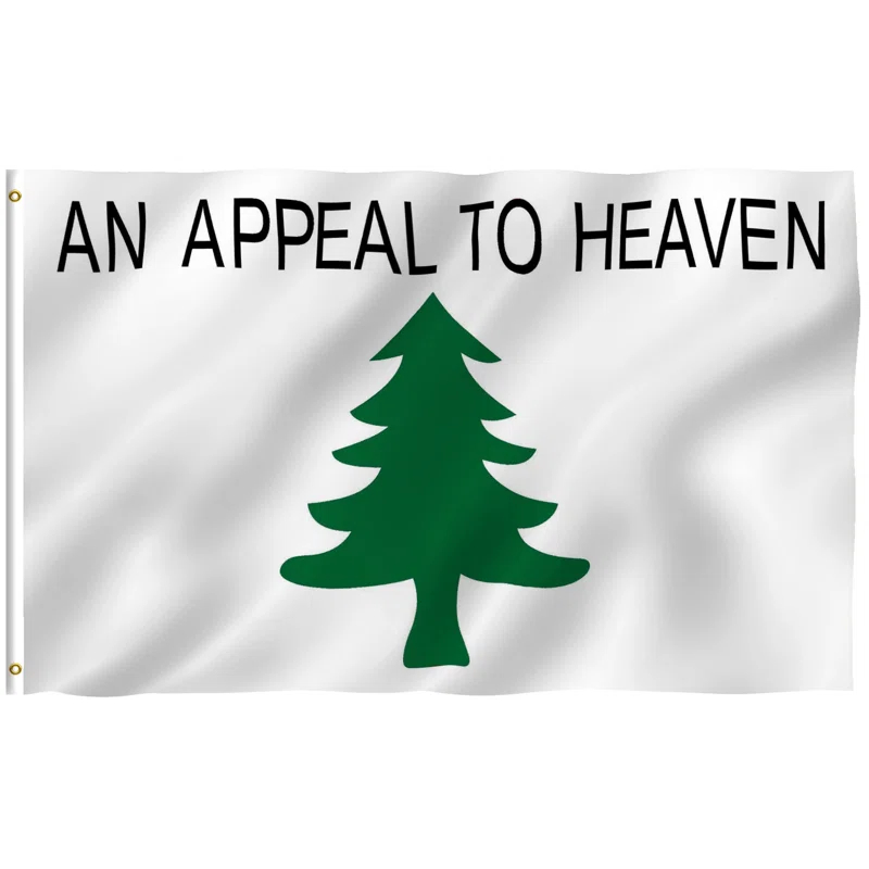 Double Sided 36'' H x 60'' W Polyester House Flag