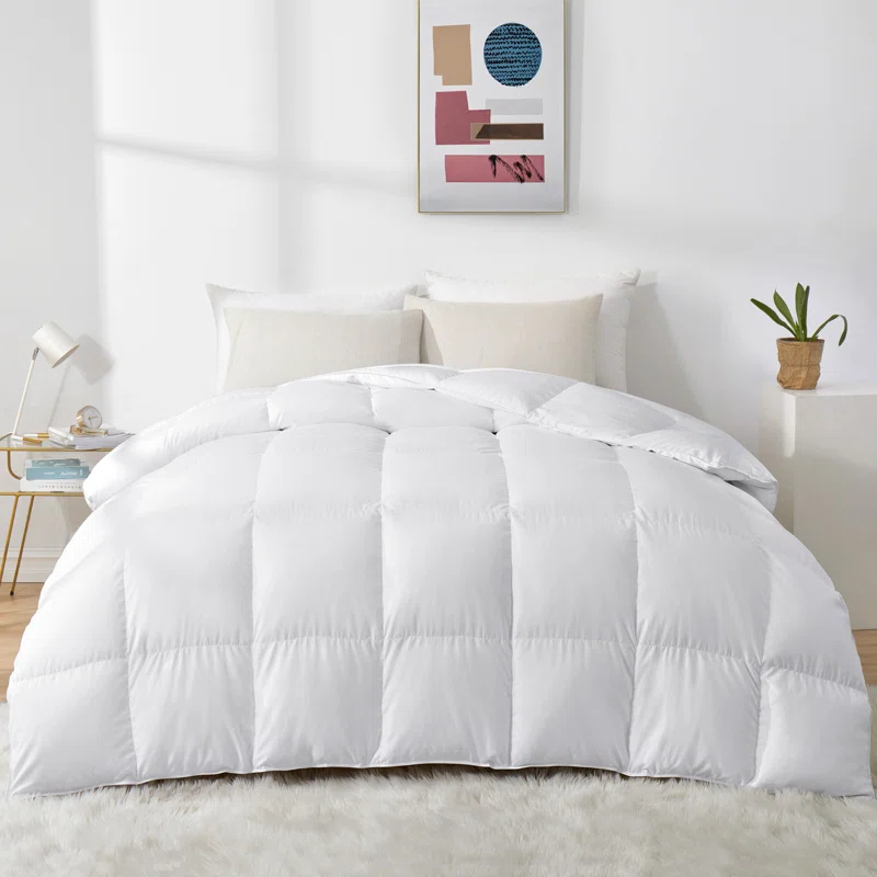 Alwyn Home Twin 600in³/oz Fill Power Winter Goose Down Comforter