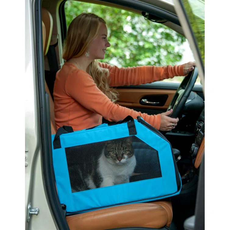Pet Gear Plastic Pet Carrier with 2 Doors
