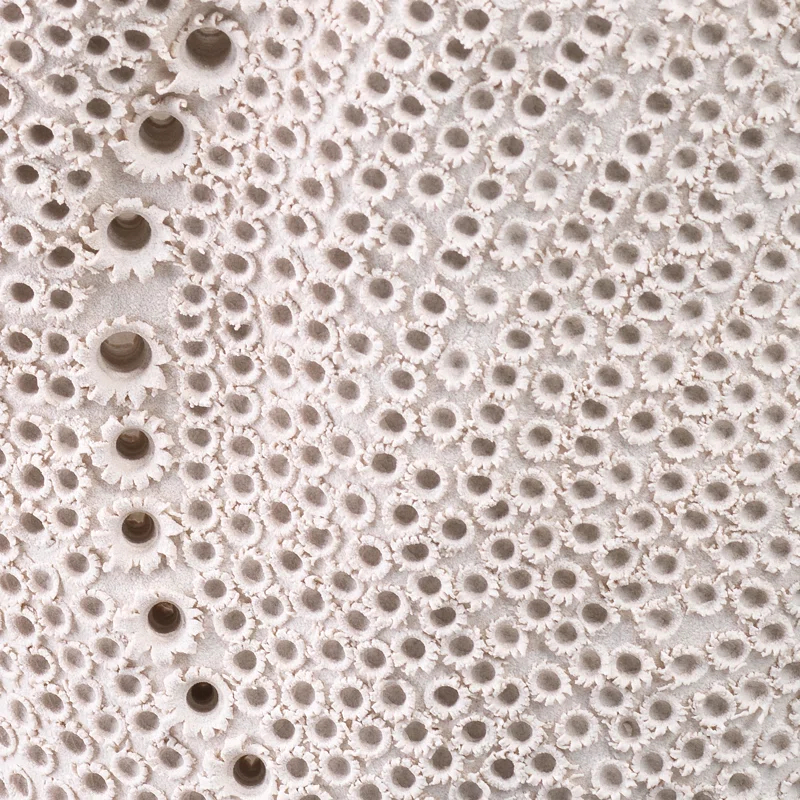 White Porcelain Decorative Table Vase with Perforated Design