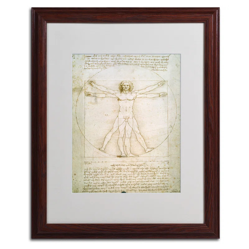 Vault W Artwork " The Proportions Of The Human Figure " by Leonardo Da Vinci