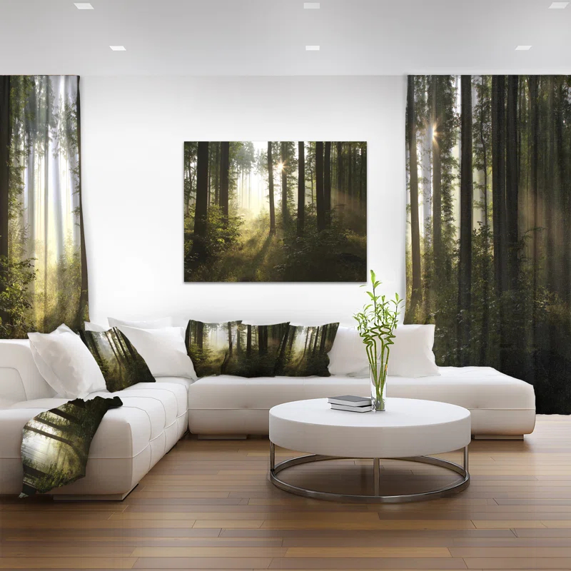 " Early Morning Sun In Misty Forest "