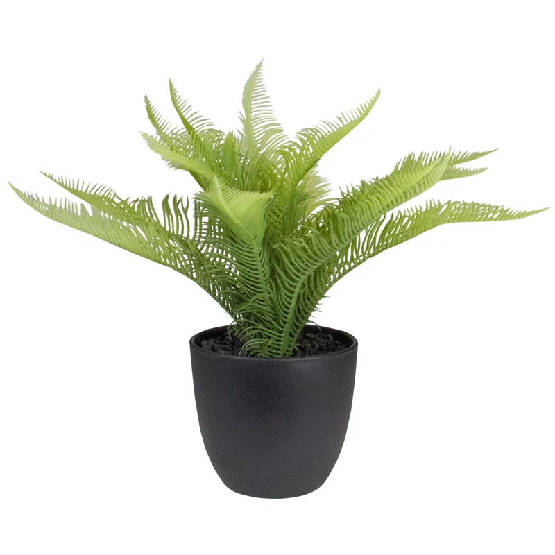 Northlight Seasonal 12'' Faux Pinus Plant in Pot