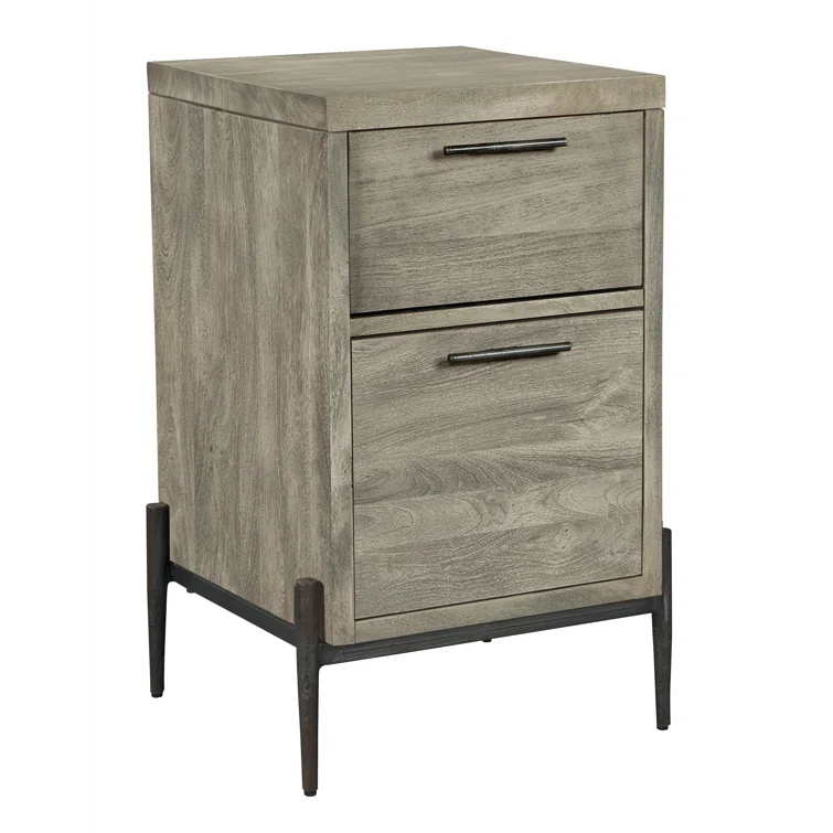 Foundry Select Bedford Park Bedford Park 20" Wide Home File Cabinet