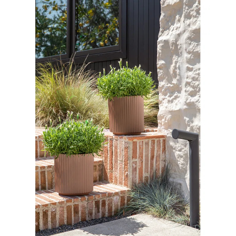 Veradek Demi Series Round Planter & Reviews | AllModern