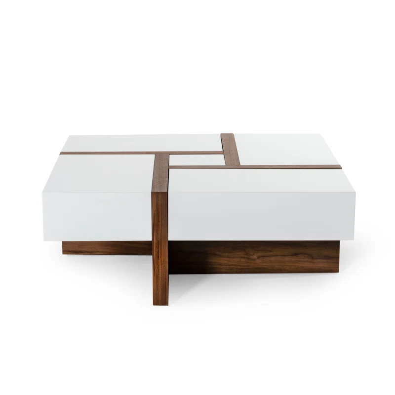 AllModern Elka Storage Coffee Table