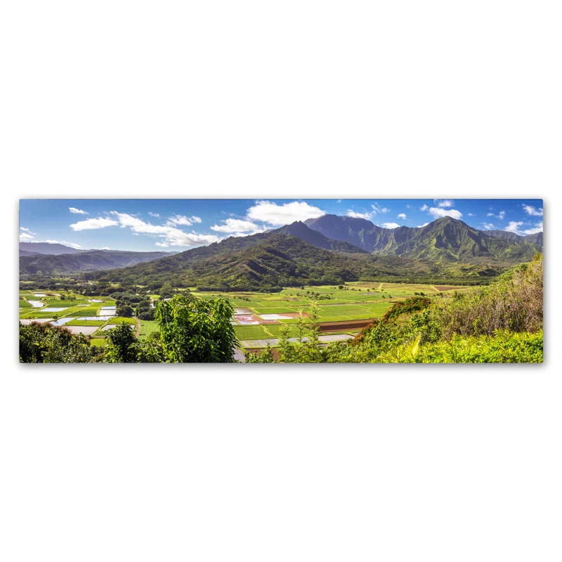 Trademark Fine Art Pierre Leclerc " Hanalei Kauai " by Pierre Leclerc