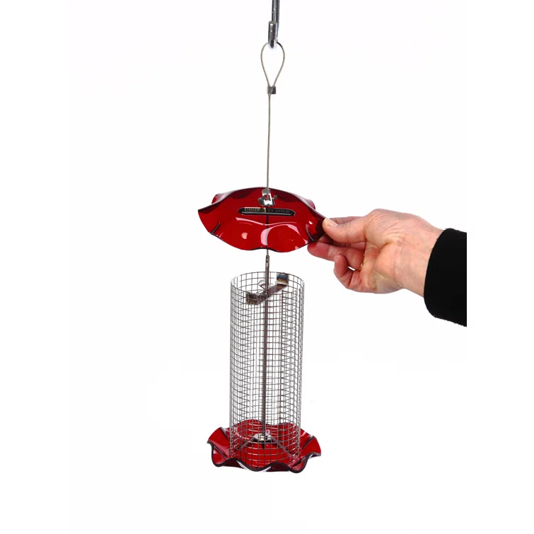 Birds Choice Small Sunflower Seed Forever Feeder with Stainless Steel Screen