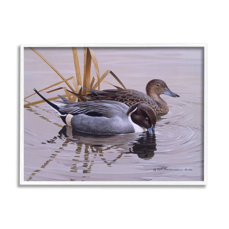 Stupell Industries " Ducks With Pond Ripples " by Rod Lawrence