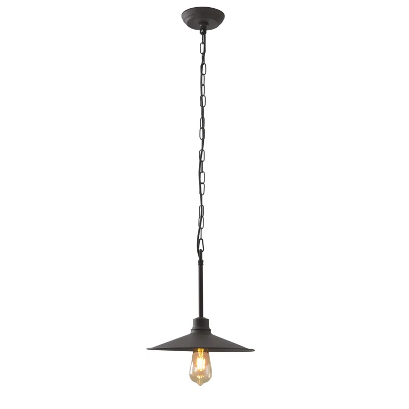 Varaluz 1 - Light Single Pendant